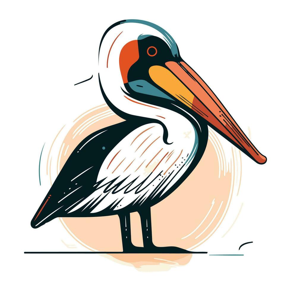 Pelican vector illustration. Hand drawn sketch of pelican.