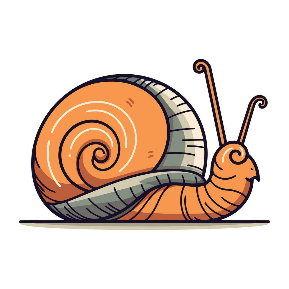 Snail icon. Cartoon illustration of snail vector icon for web design