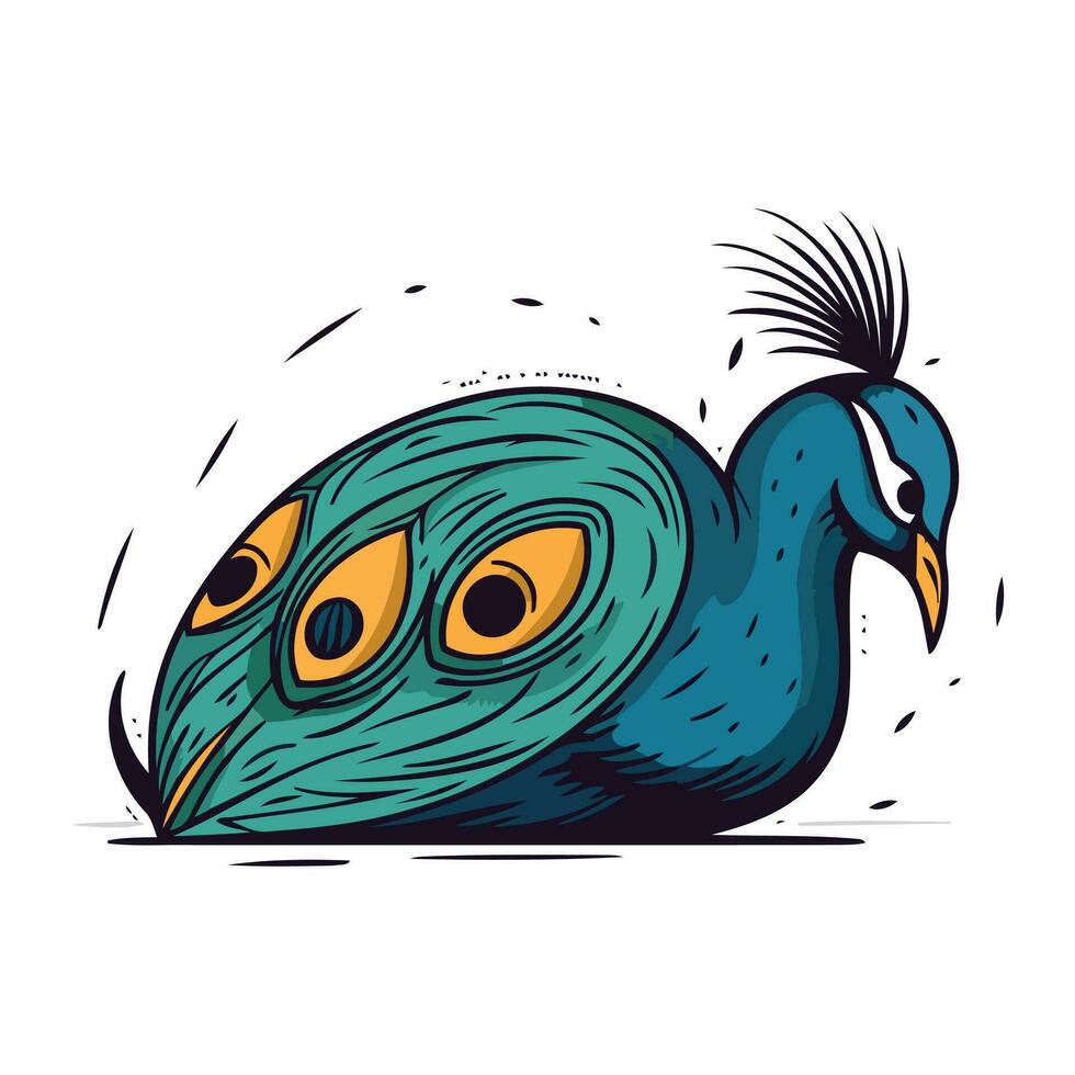 Peacock head. Vector illustration of a peacock head.