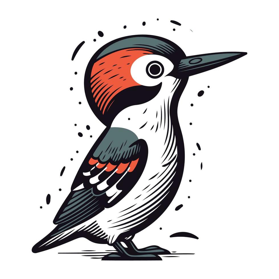 Woodpecker isolated on white background. Hand drawn vector illustration.