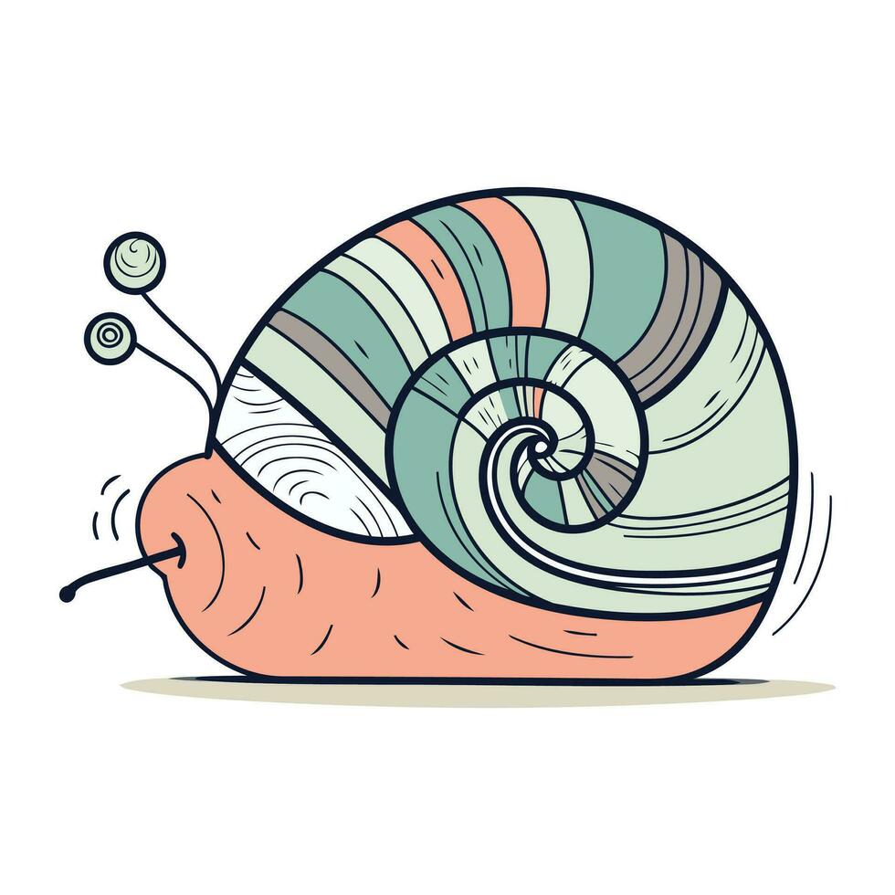 Cartoon snail. Vector illustration. Isolated on white background.