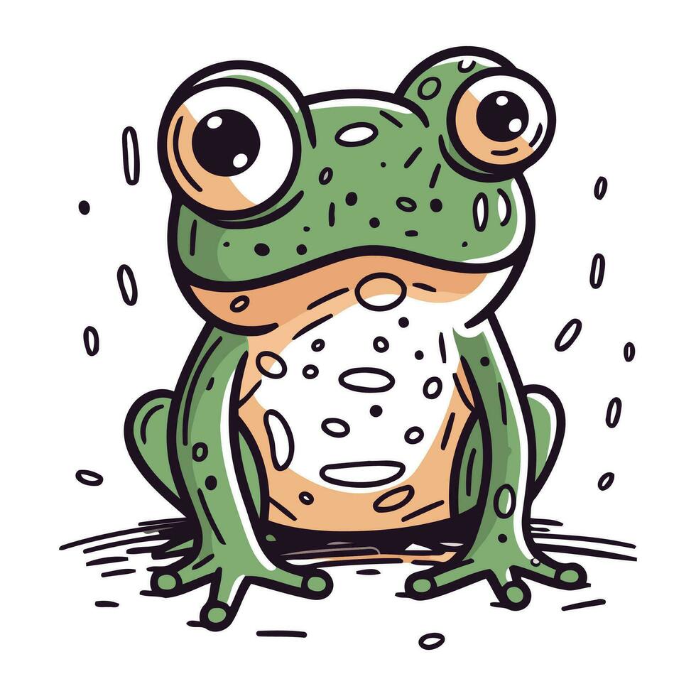 Cute cartoon frog. Vector illustration. Isolated on white background.