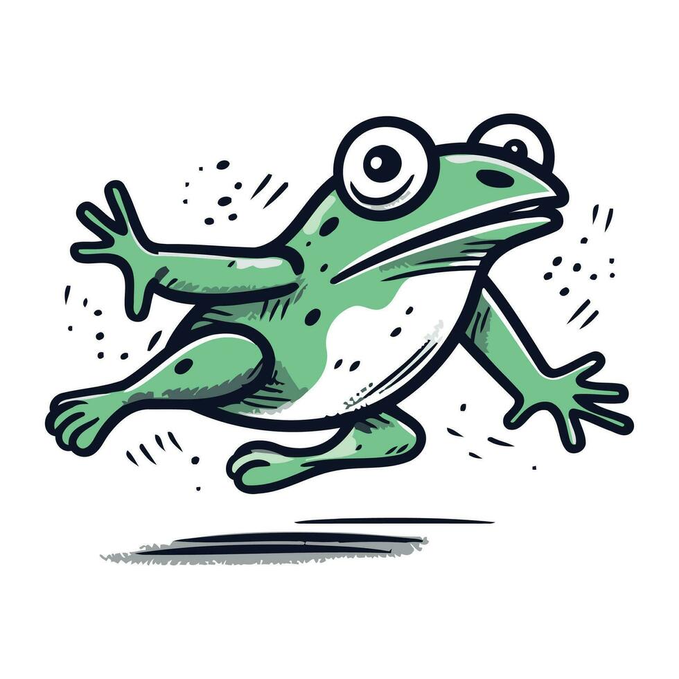 Frog. Vector illustration. Isolated on a white background.