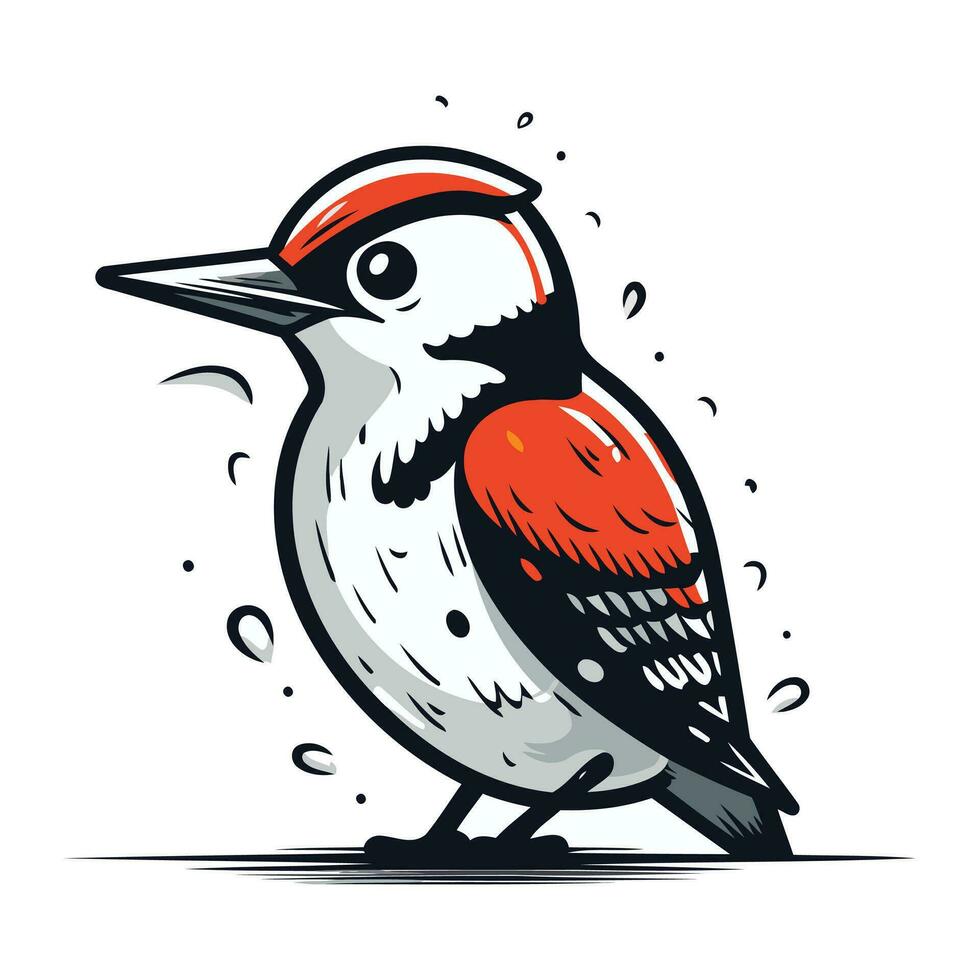 Woodpecker vector illustration. Hand drawn woodpecker isolated on white background.