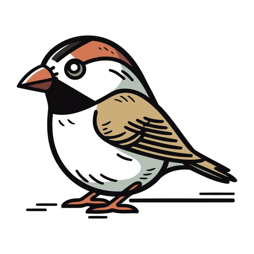 gorrión pájaro aislado en blanco antecedentes. vector ilustración en dibujos animados estilo.
