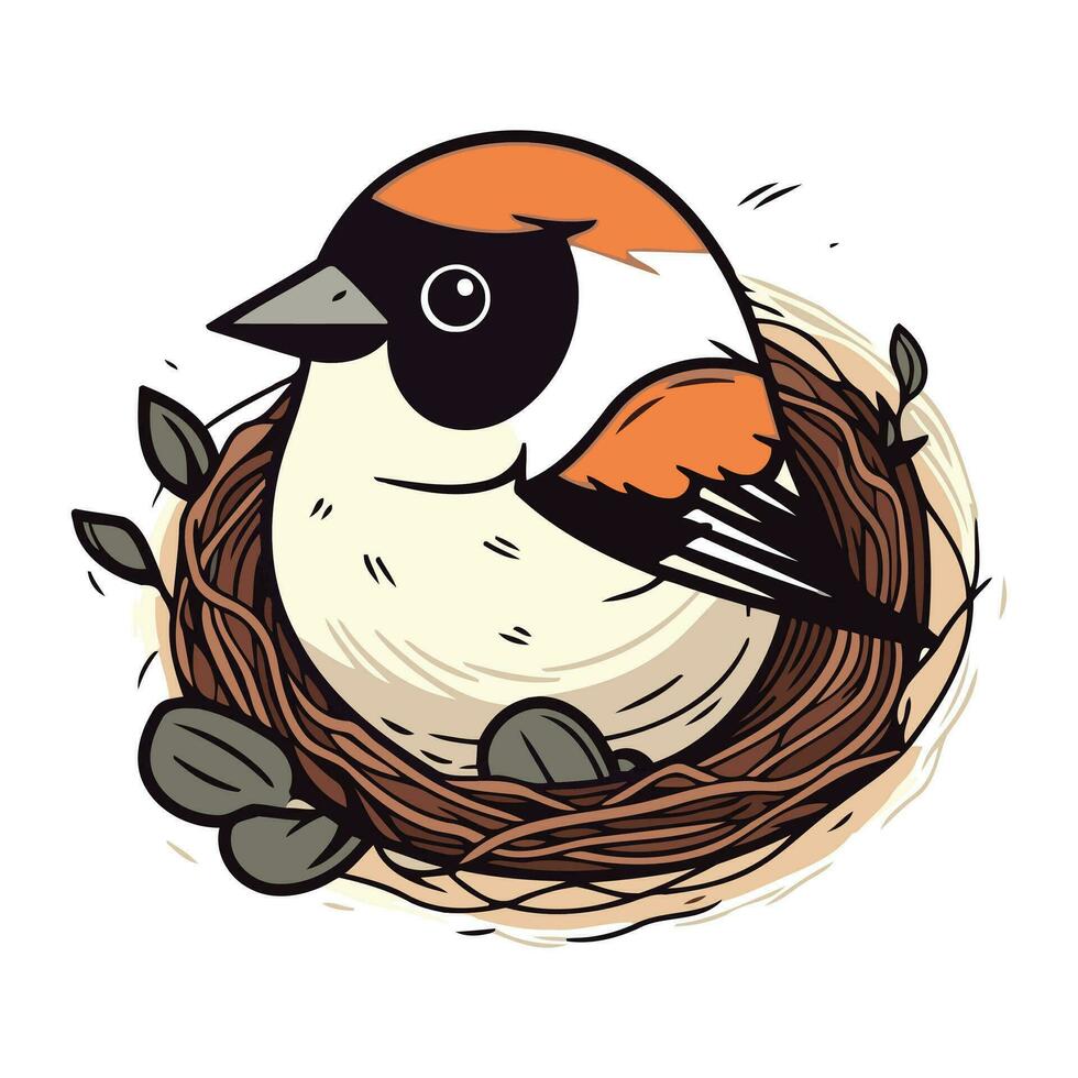 mano dibujado vector ilustración de un piñonero en un nido.