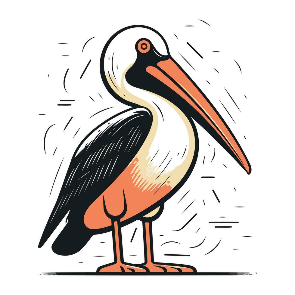 Pelican isolated on white background. Hand drawn vector illustration.