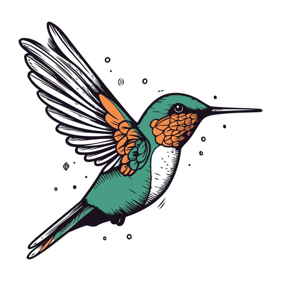 colibrí mano dibujado vector ilustración. aislado en blanco antecedentes.