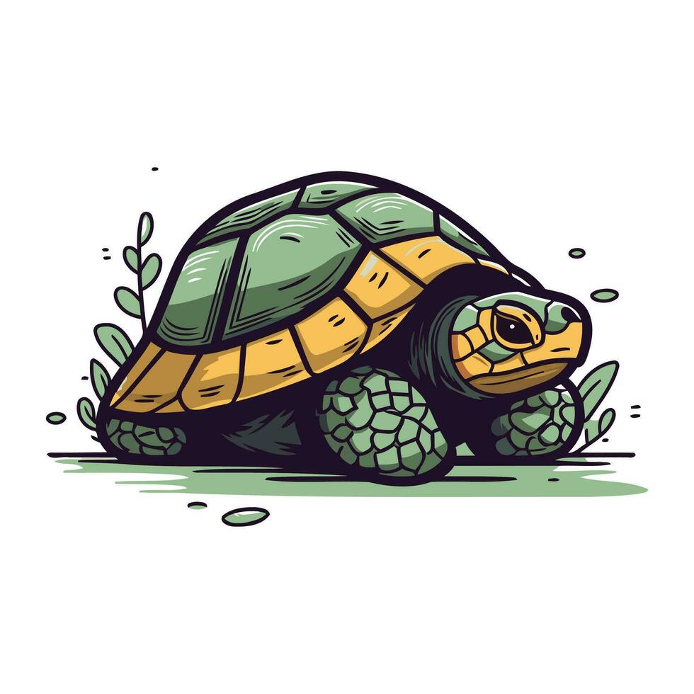 Vector illustration of a turtle isolated on white background. Hand drawn tortoise.