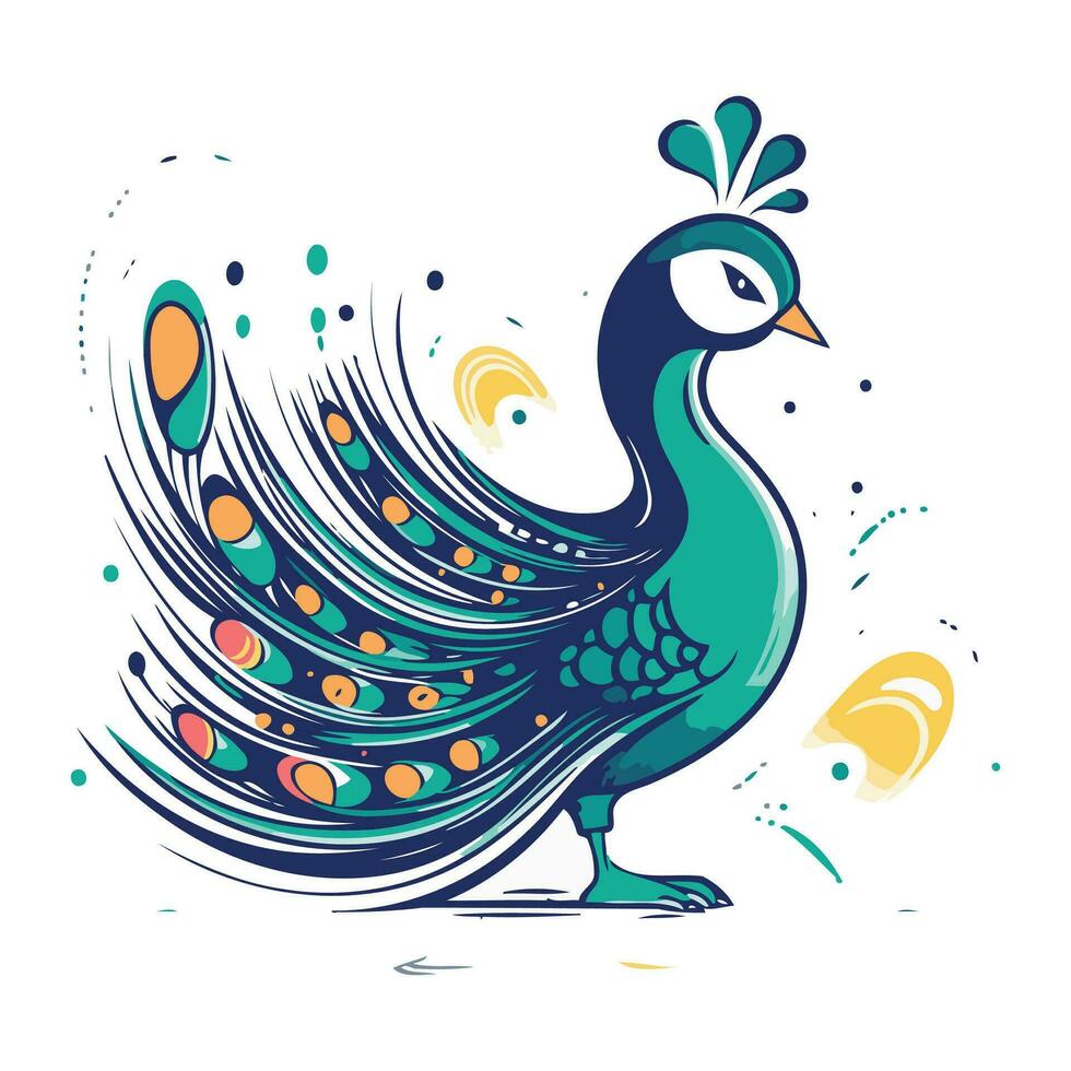 Peacock with feathers on a white background. Vector illustration.