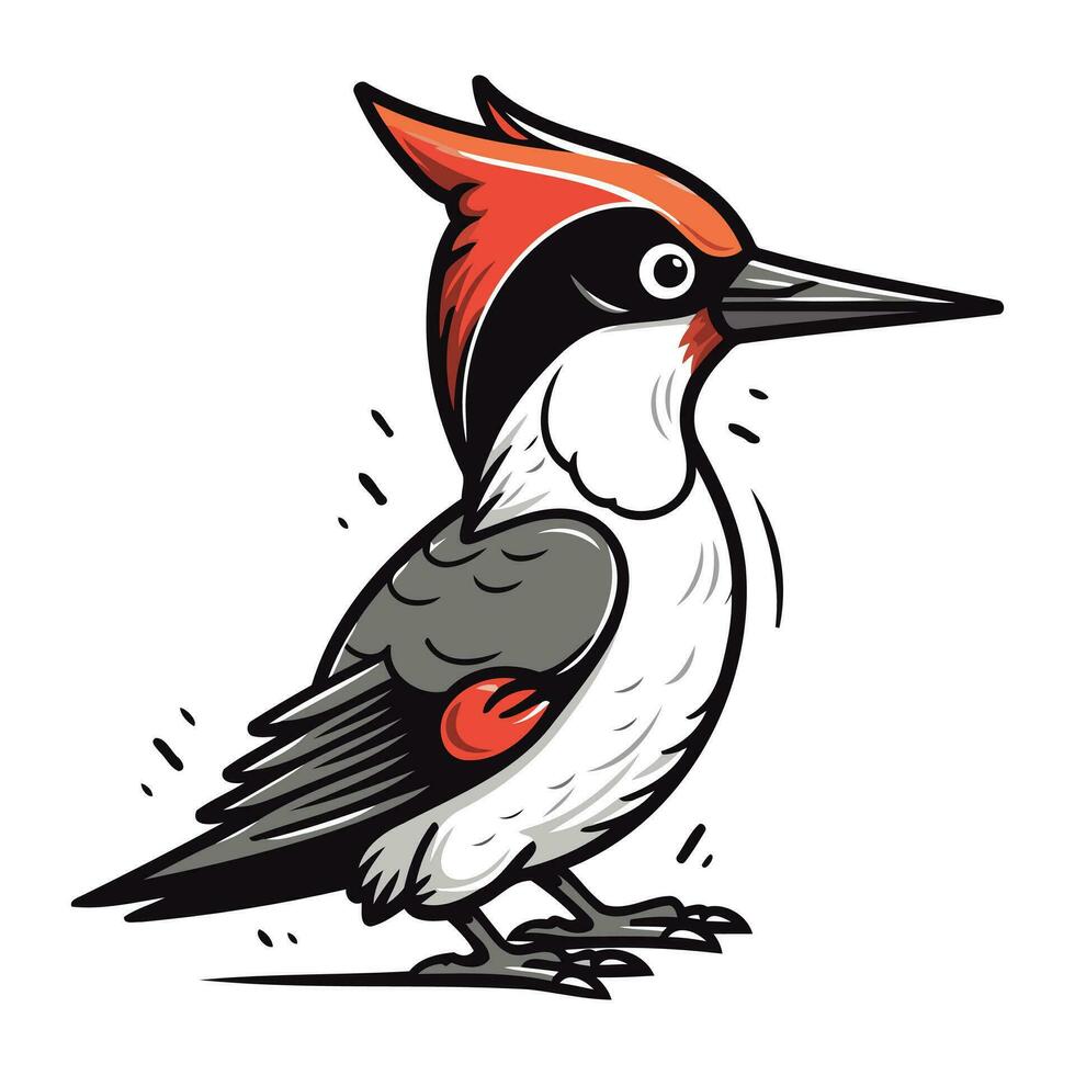 rojo Respaldados pájaro carpintero. vector ilustración en blanco antecedentes.