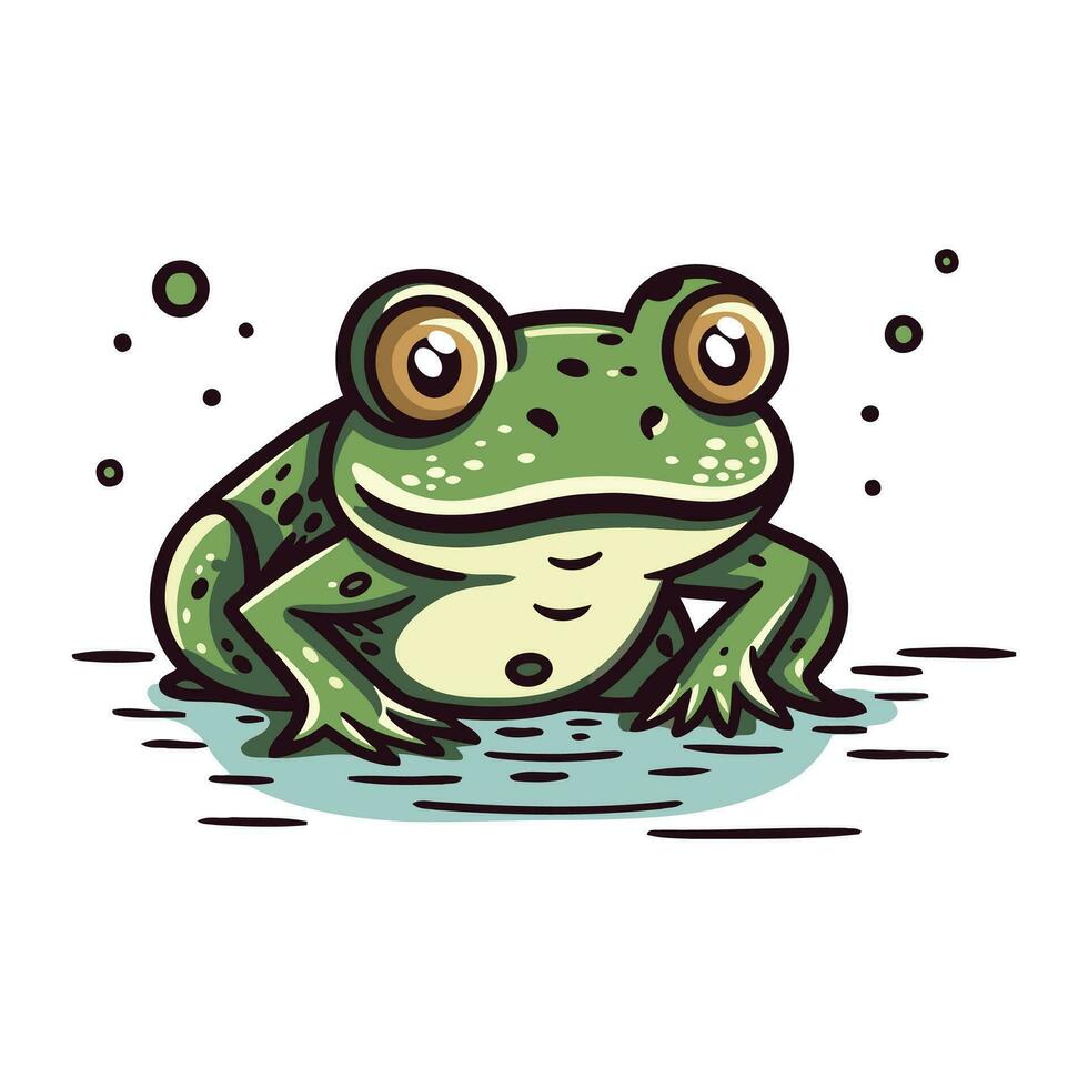 Frog. Vector illustration. Isolated on a white background.