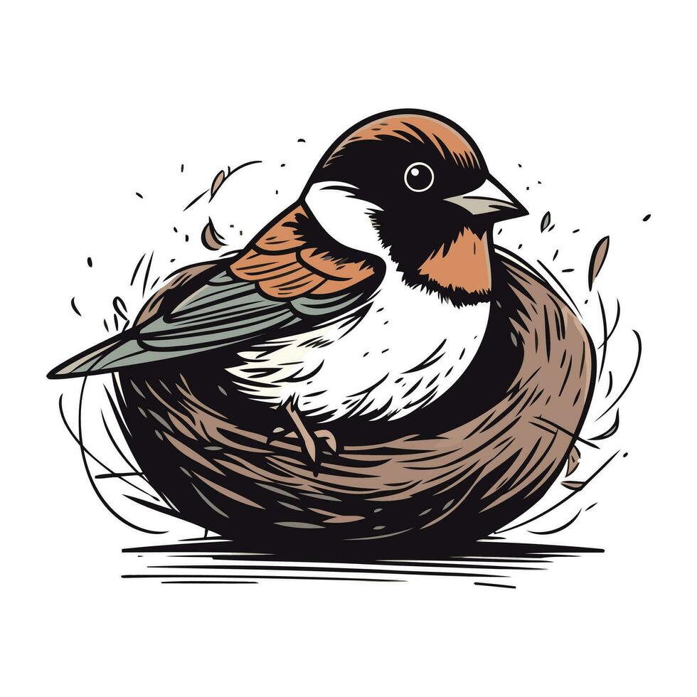 Sparrow sitting in the nest. Hand drawn vector illustration.