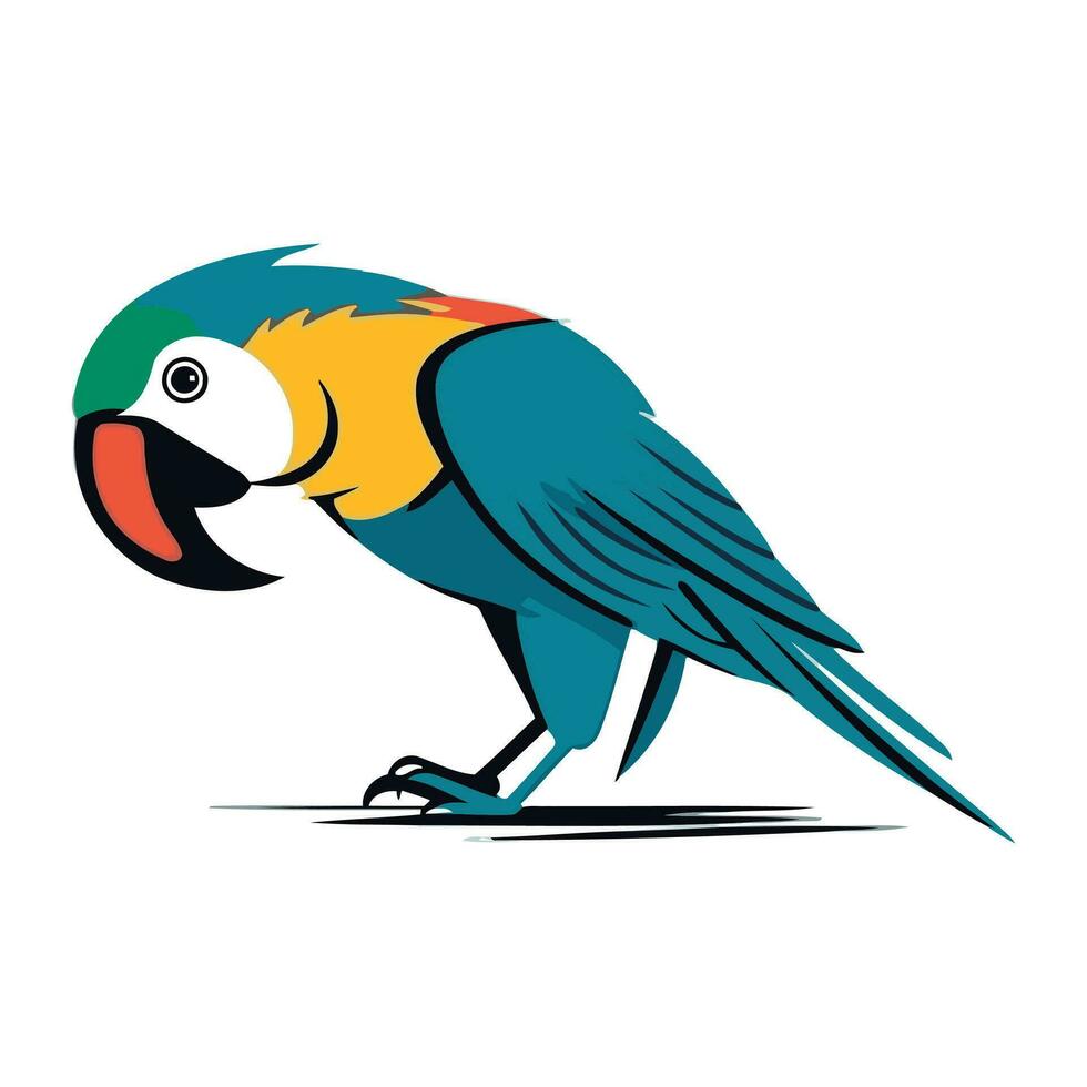 Colorful parrot isolated on a white background. Vector illustration.