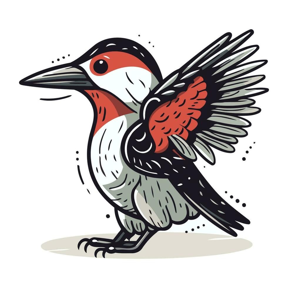 rojo Respaldados pájaro carpintero. vector ilustración aislado en blanco antecedentes.