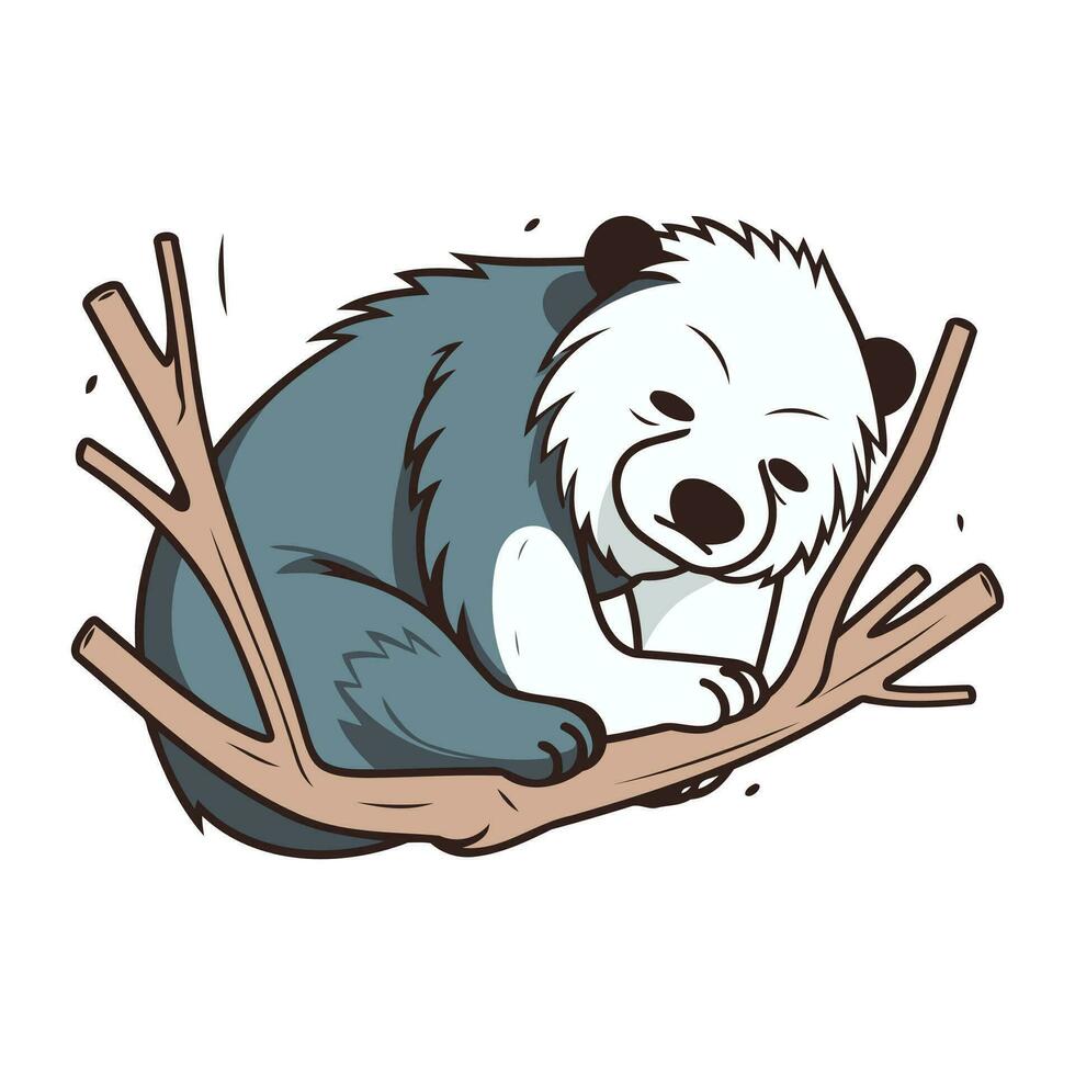 Panda sleeping on a tree branch. Vector illustration isolated on white background.