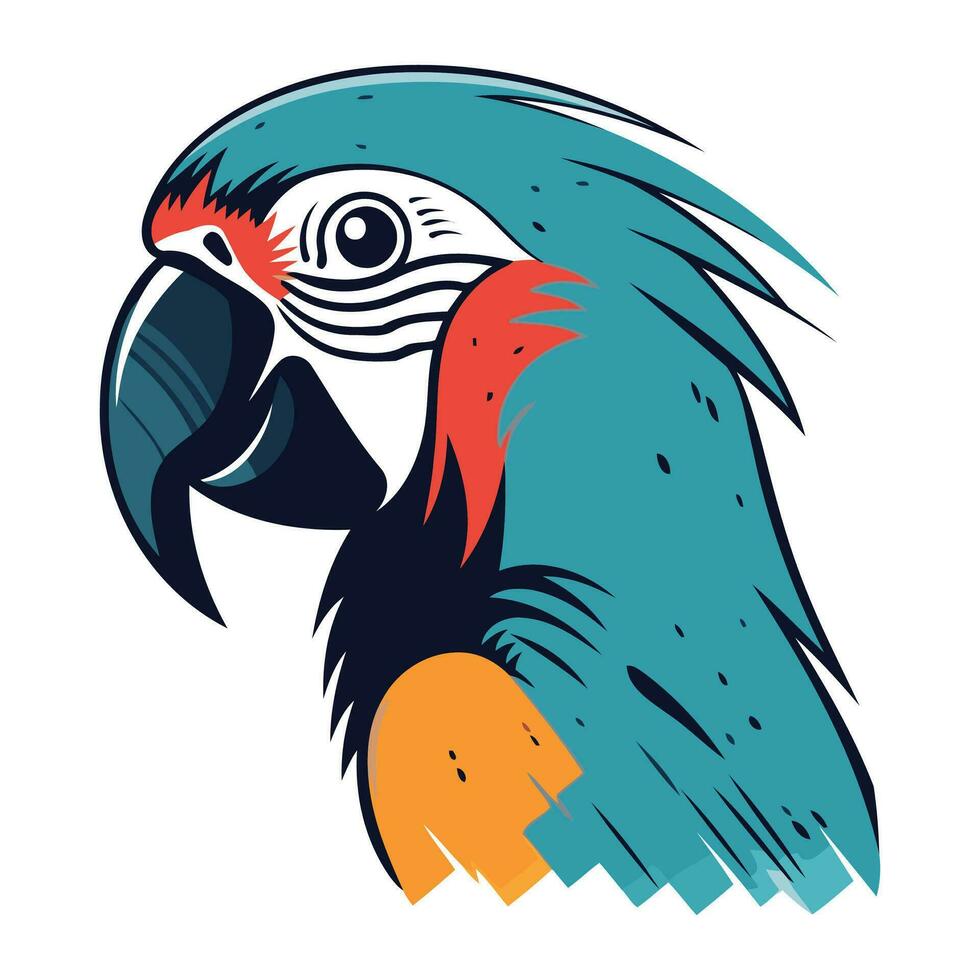 Parrot head vector illustration isolated on white background. Vector illustration.