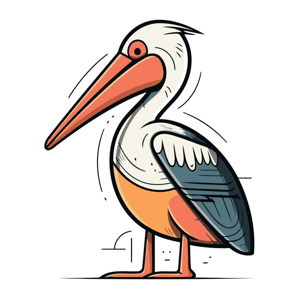 Pelican vector illustration on white background. Cartoon pelican.