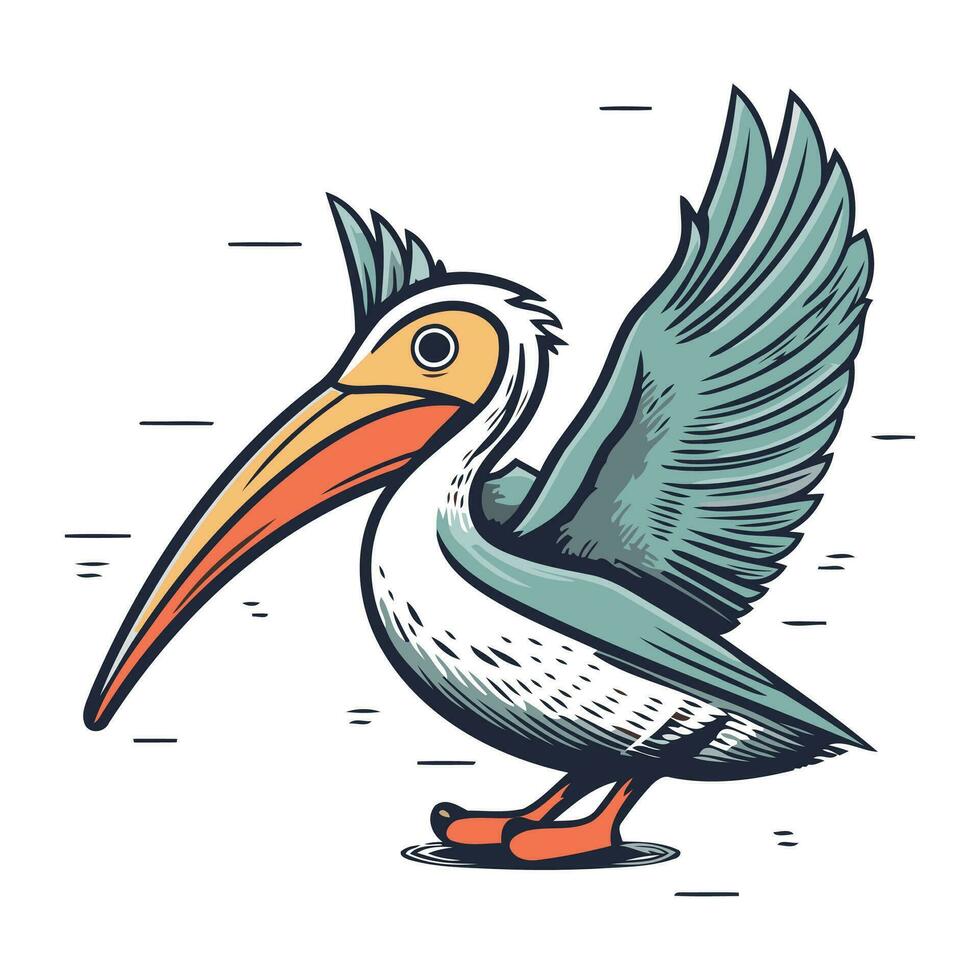 Pelican vector cartoon illustration. Isolated on white background.