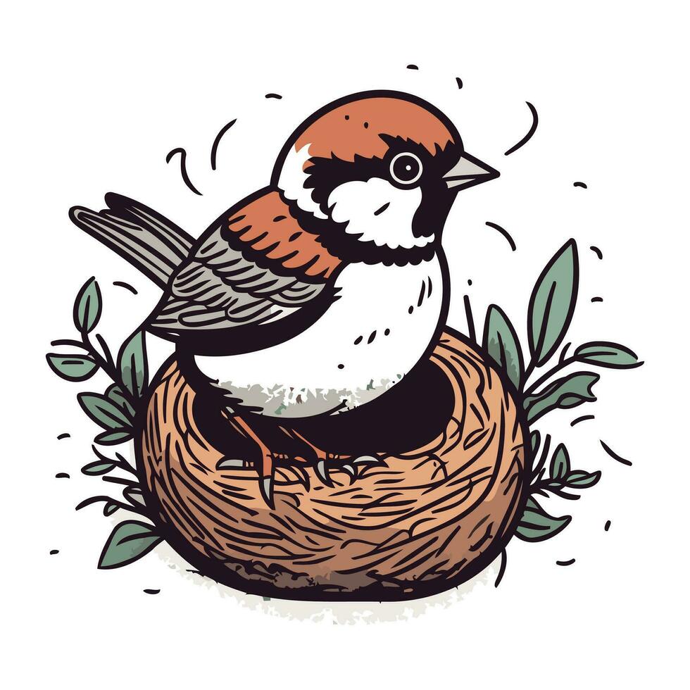 Hand drawn vector illustration of a sparrow sitting in the nest.