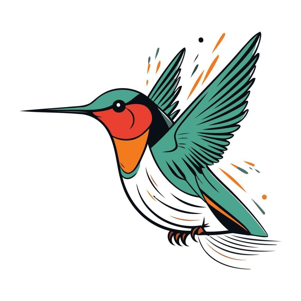 Hummingbird with spread wings. Vector illustration on white background.