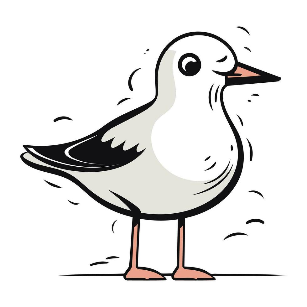 Seagull. Vector illustration of a seagull bird.