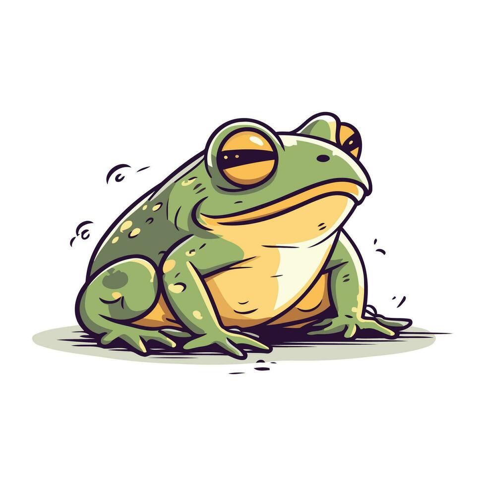 Frog. Vector illustration. Isolated on a white background.