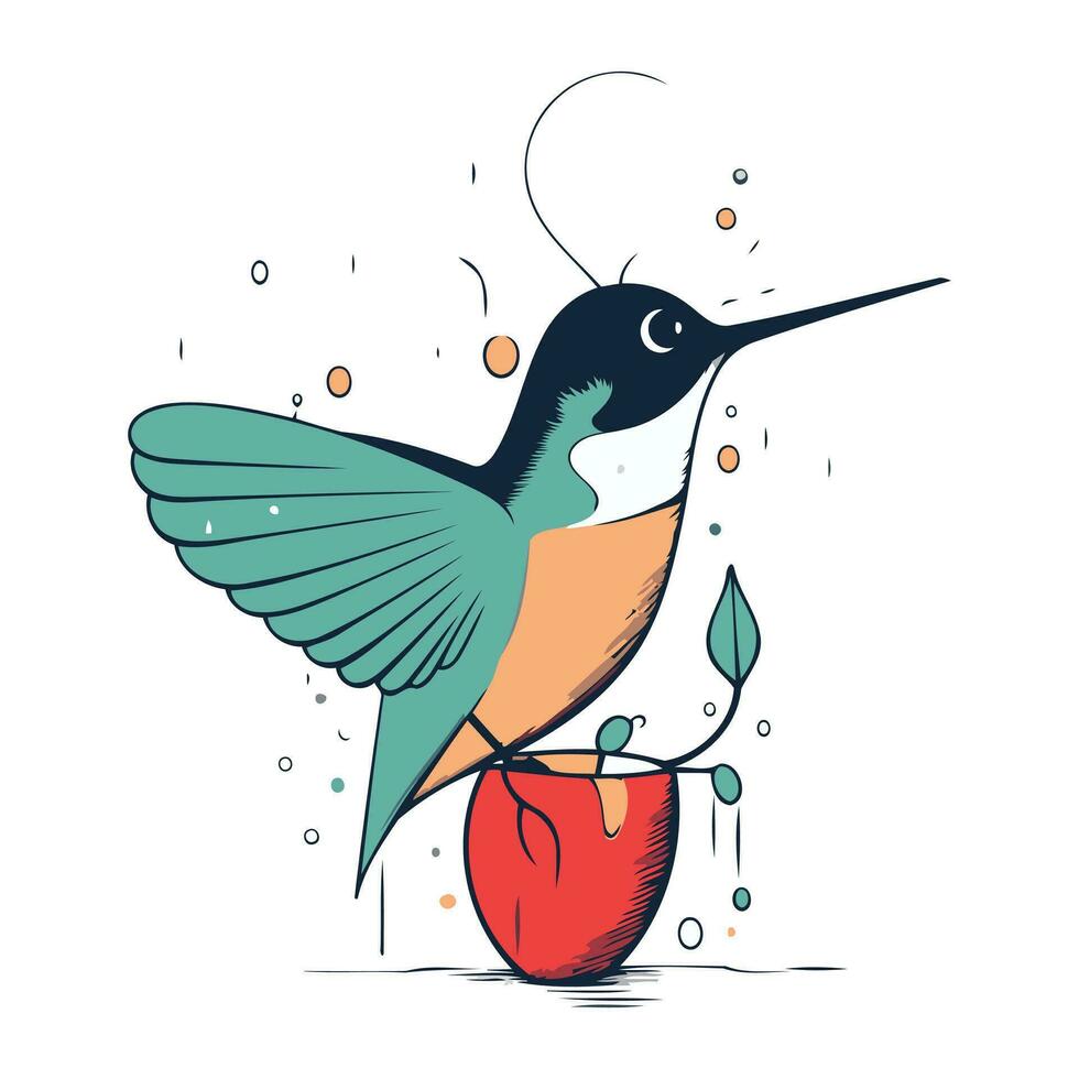 colibrí con un manzana. vector ilustración en blanco antecedentes.