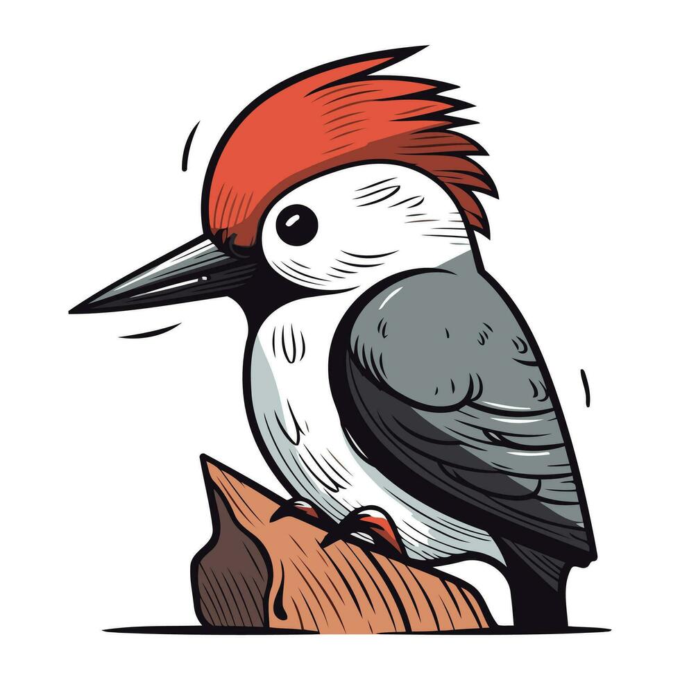 Hand drawn vector illustration of a cute red backed woodpecker