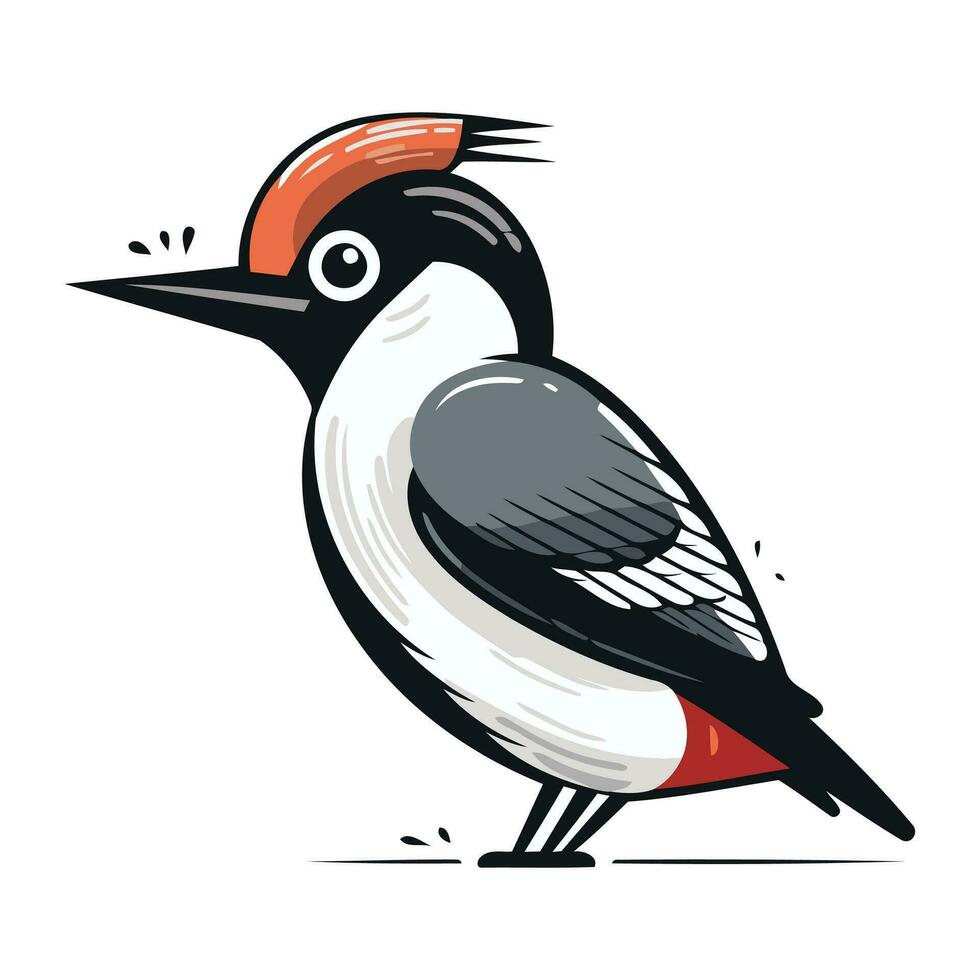 Dendrocopos major. Woodpecker vector illustration.