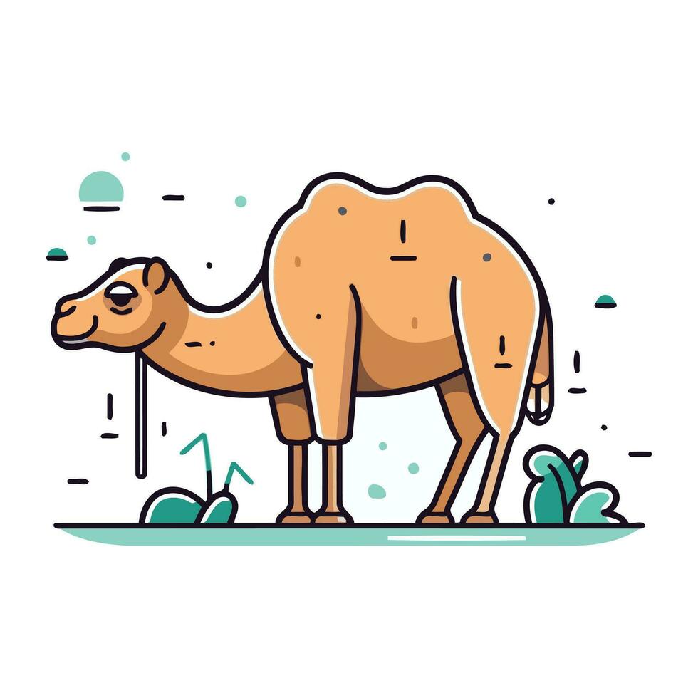 Camel. Vector illustration in flat linear style on white background.
