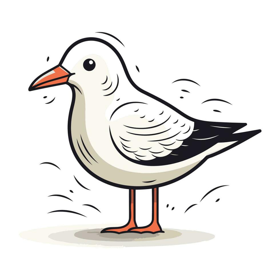 Seagull. Vector illustration. Isolated on white background.