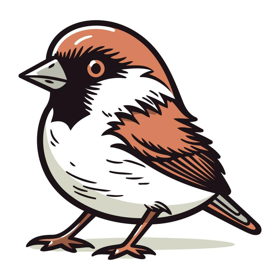 gorrión en un blanco antecedentes. vector ilustración de un pájaro.