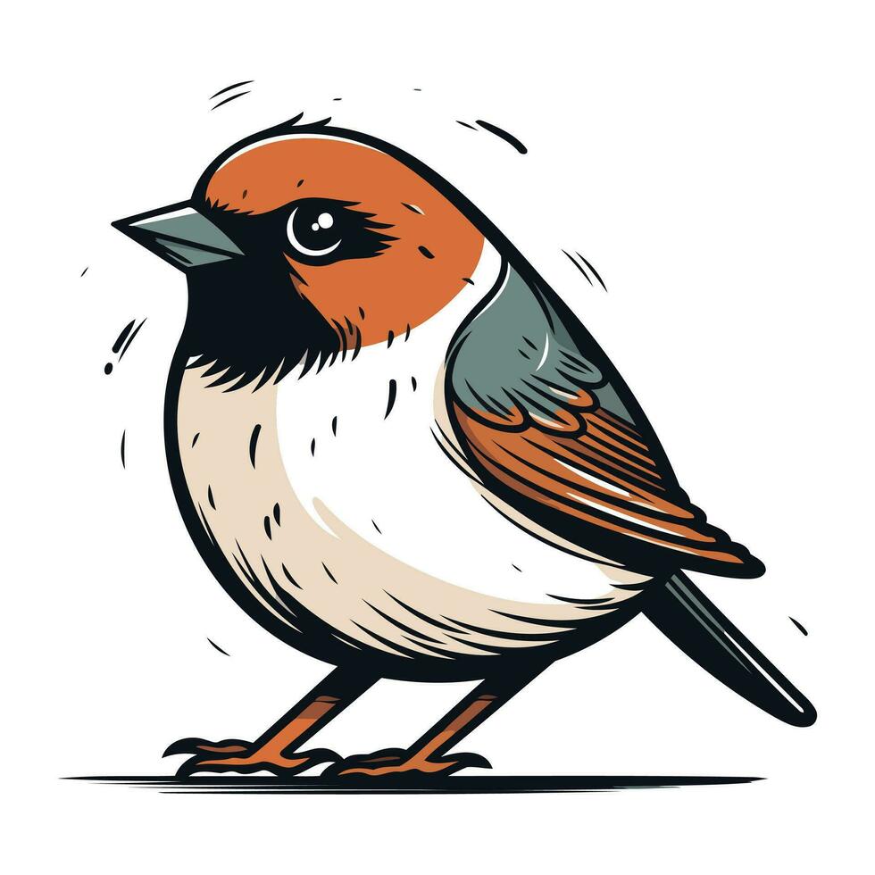 Sparrow. Hand drawn vector illustration isolated on white background.