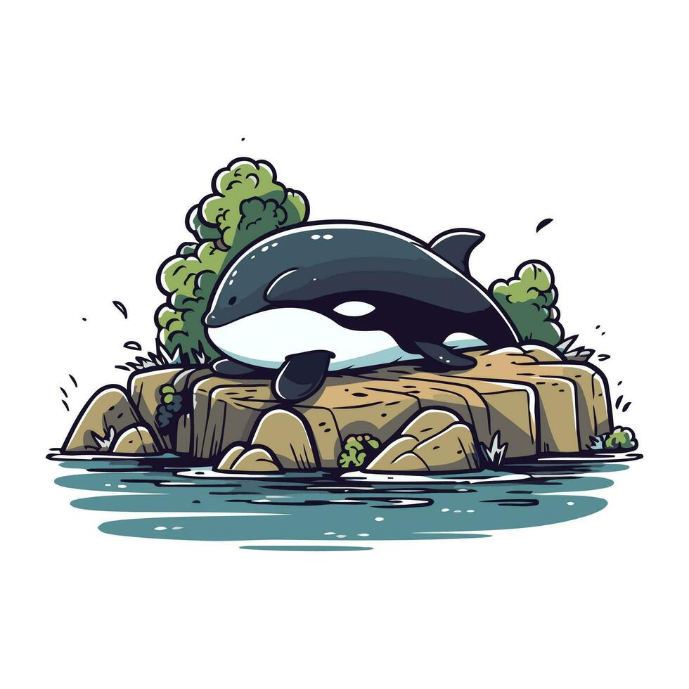 Cute cartoon killer whale on the rock. Vector hand drawn illustration.