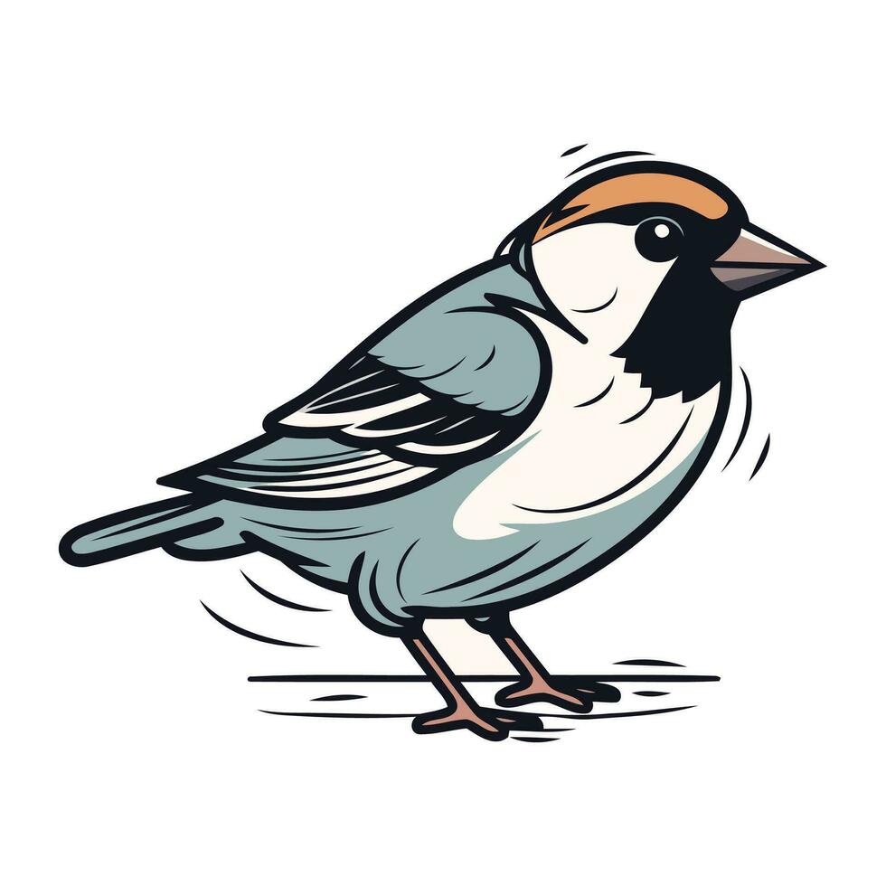 Vector illustration of a sparrow isolated on white background. Hand drawn sparrow.