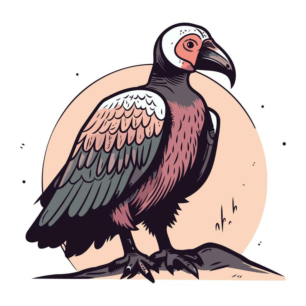Vultures. Vector illustration of a vulture on a white background.