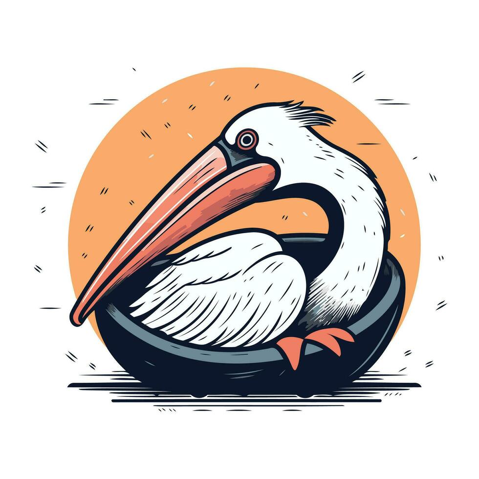 Pelican vector illustration. Isolated on a white background.