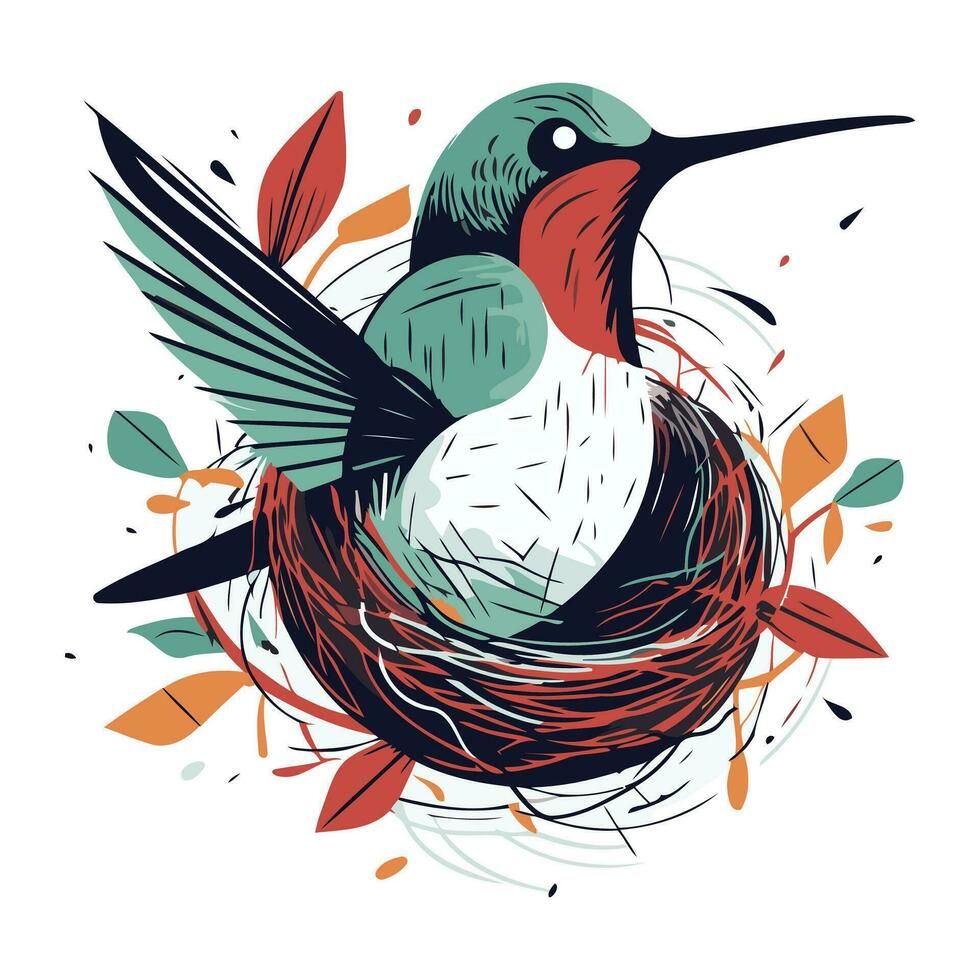 Hummingbird in the nest. Vector illustration on white background.