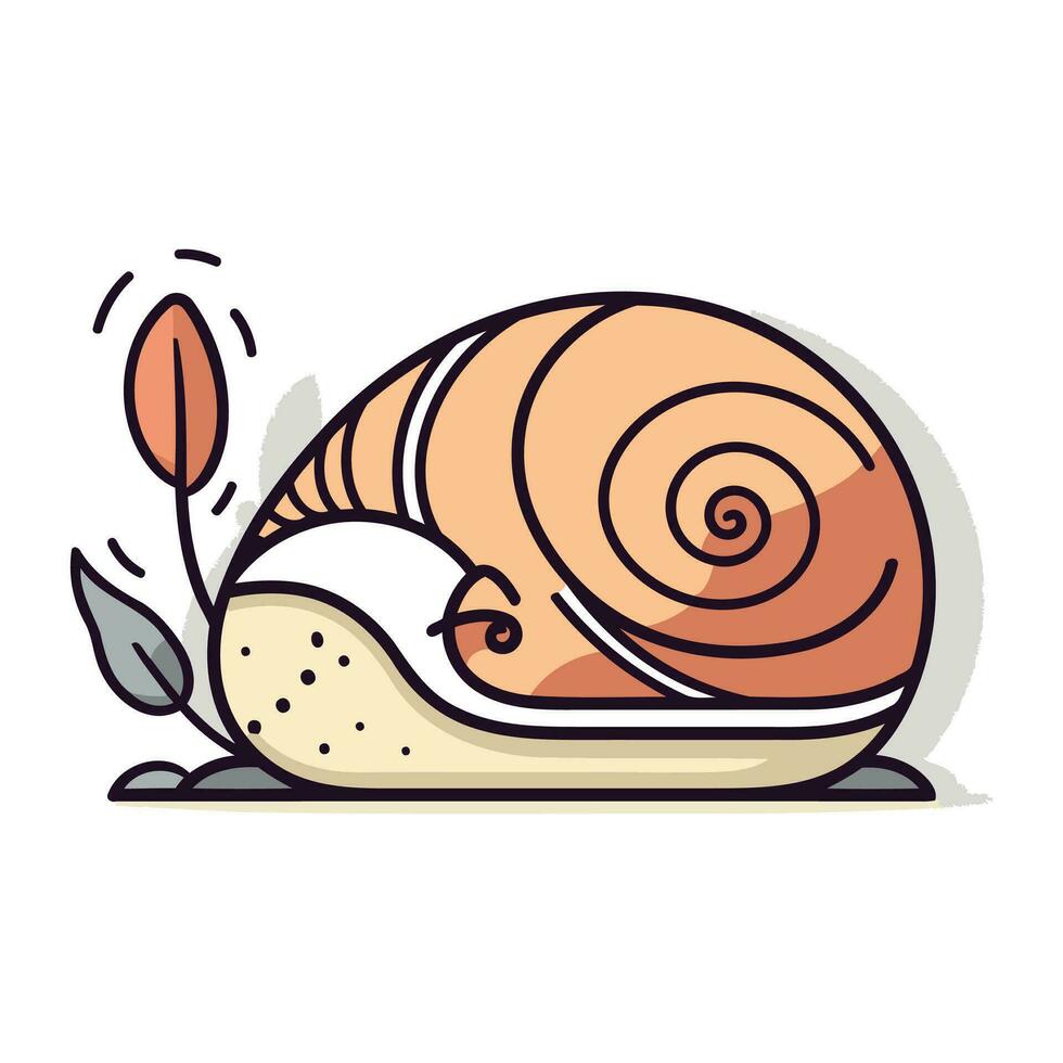 Vector illustration of a snail isolated on a white background. Cartoon style.