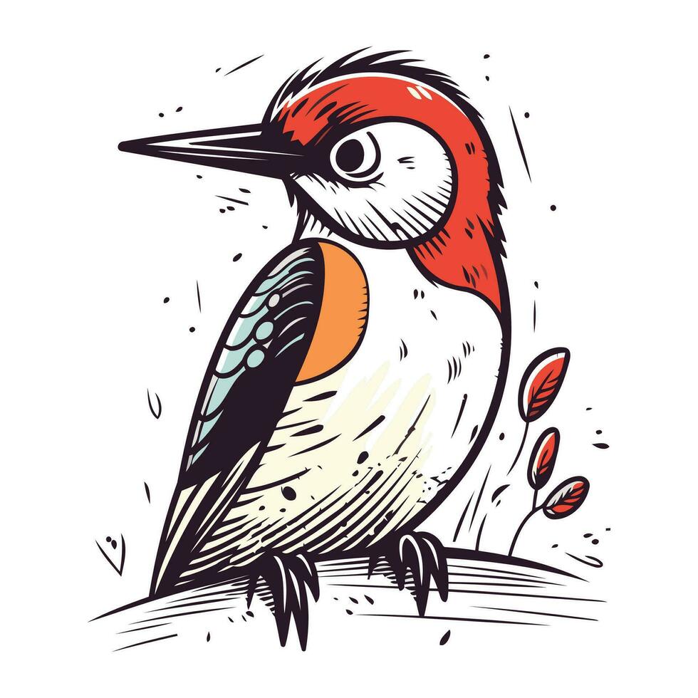 Hand drawn sketch of woodpecker. Vector illustration isolated on white background.