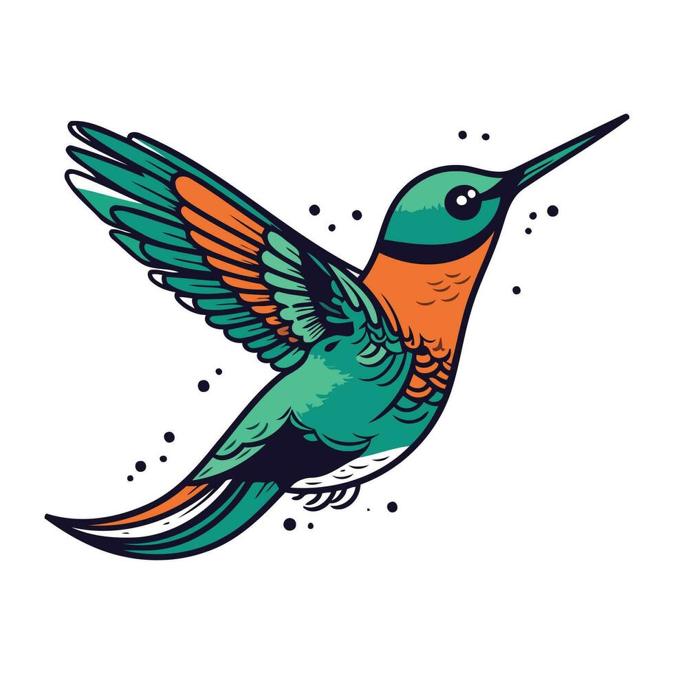 Hummingbird vector illustration. Isolated hummingbird on white background.