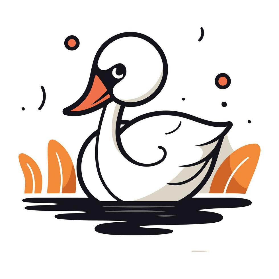 White swan swimming in a pond. Vector illustration on white background.