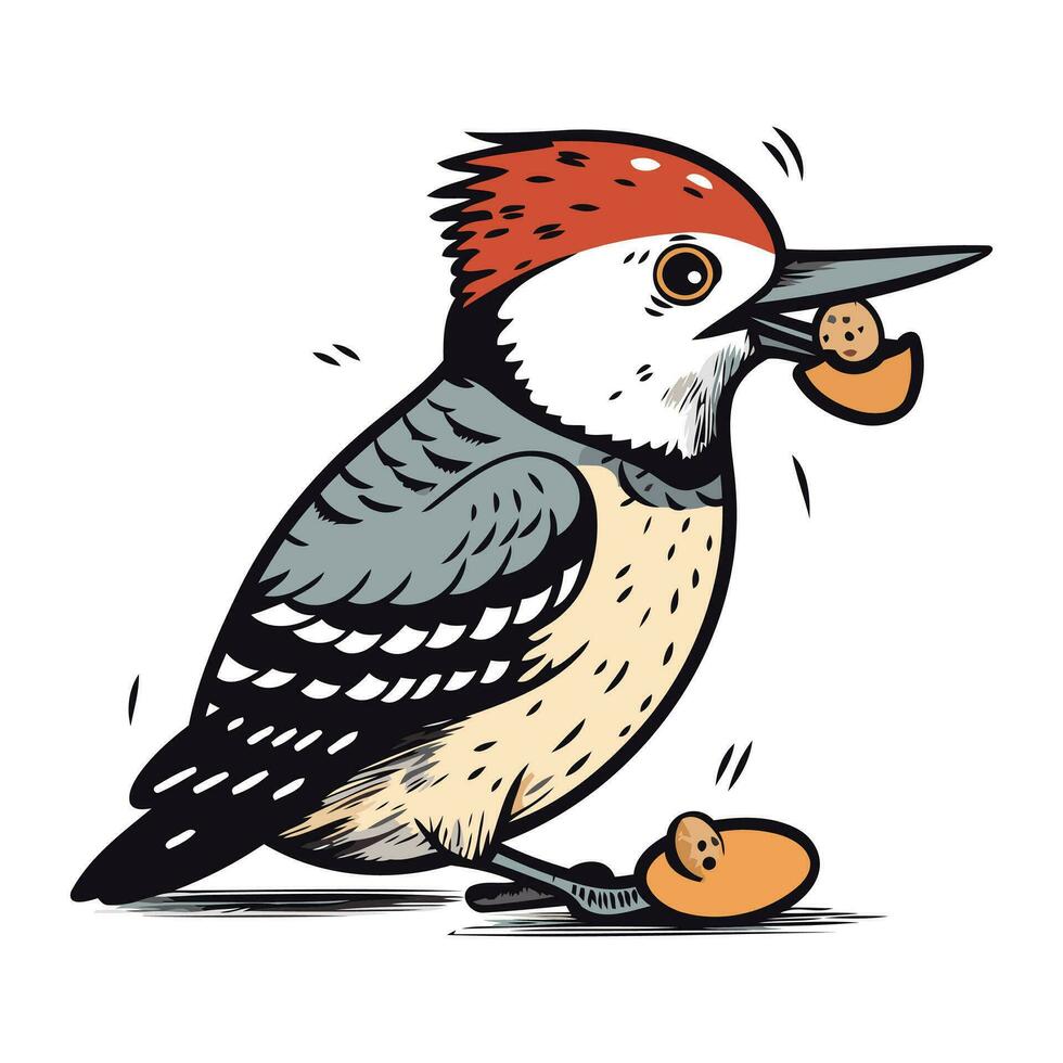 Woodpecker with a nut in its beak. Vector illustration.