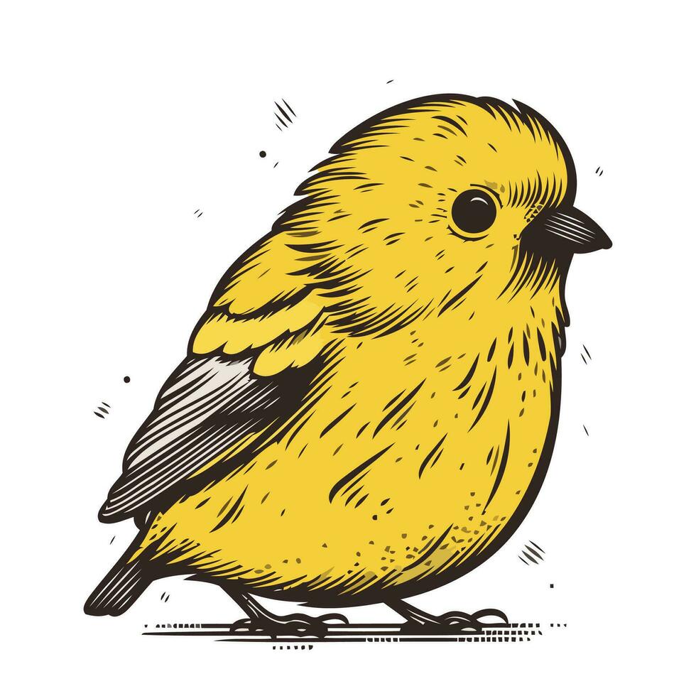 Goldfinch bird. Hand drawn vector illustration in sketch style.