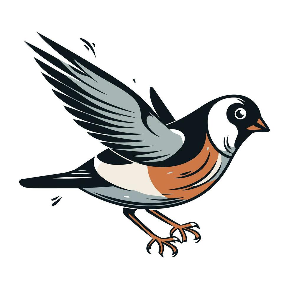 Bullfinch bird. Isolated vector illustration on white background.