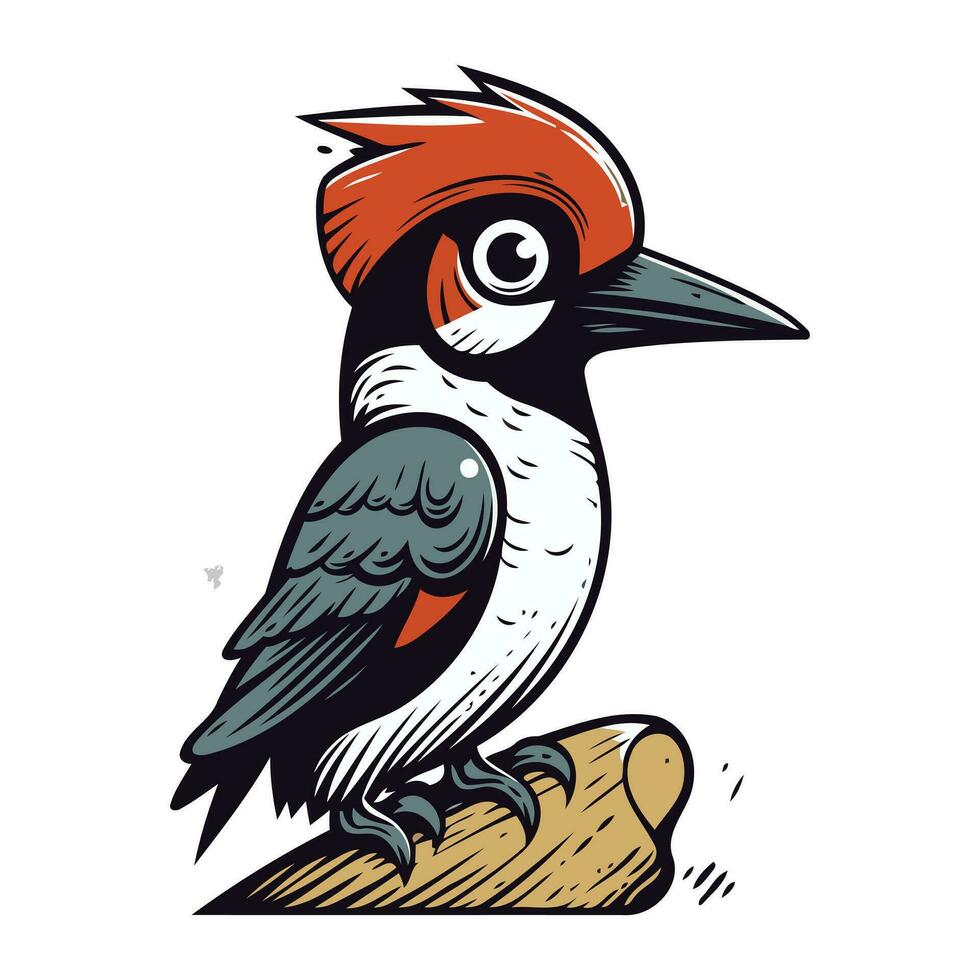 pájaro carpintero. pájaro carpintero vector ilustración aislado en blanco antecedentes