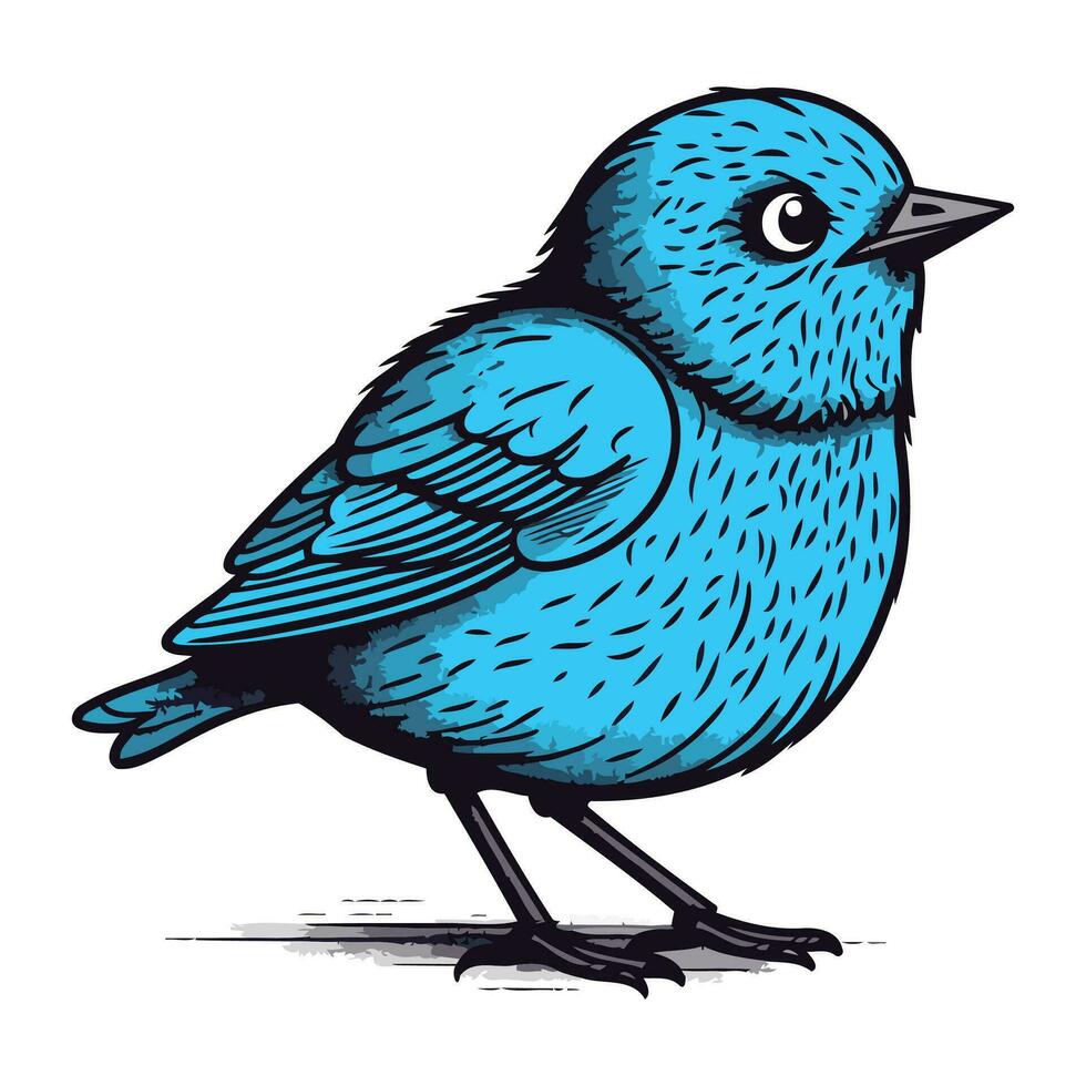 vector illustration of a blue bird on a white background. hand drawing