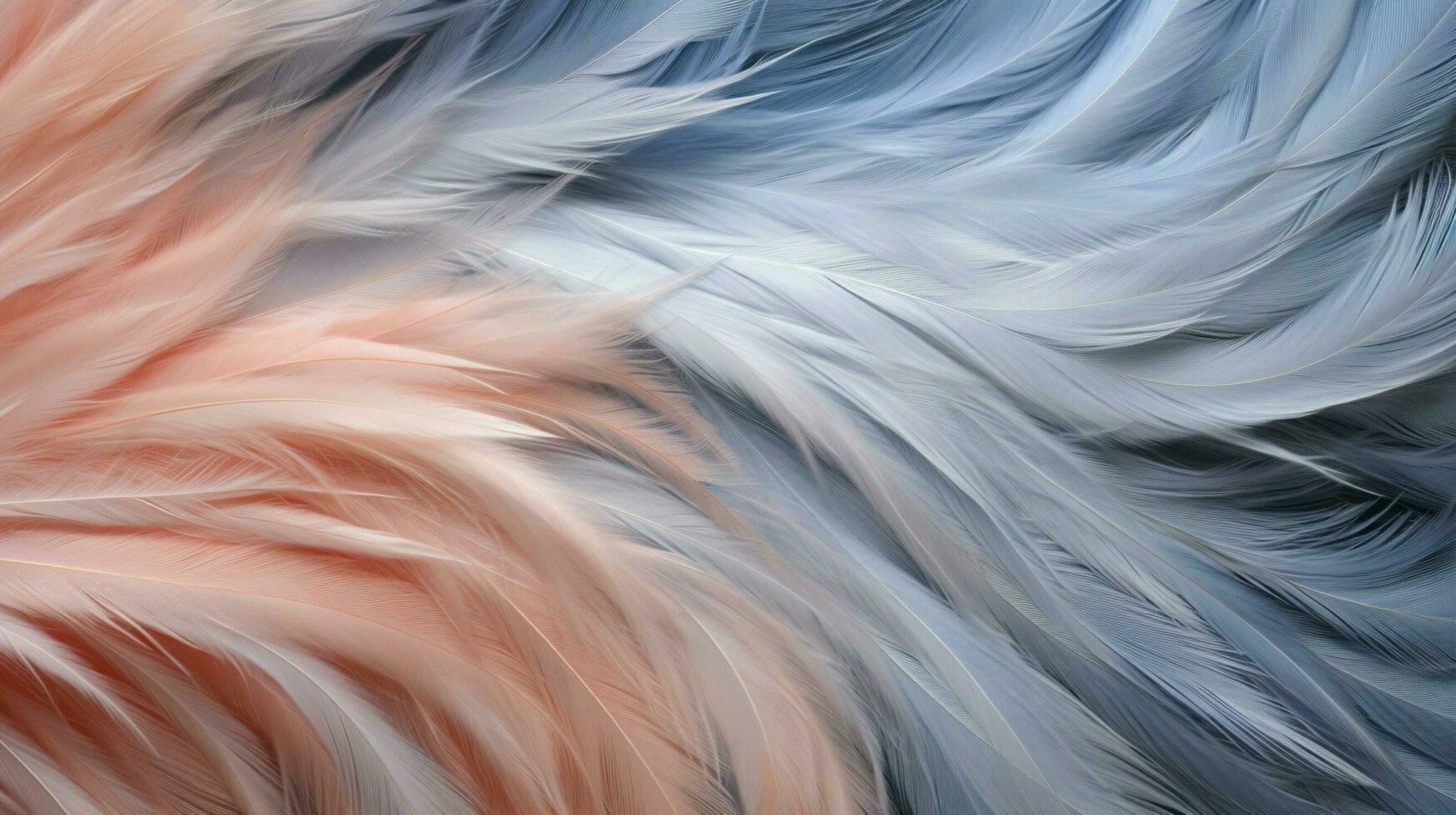 a close up of a fluffy feather photo