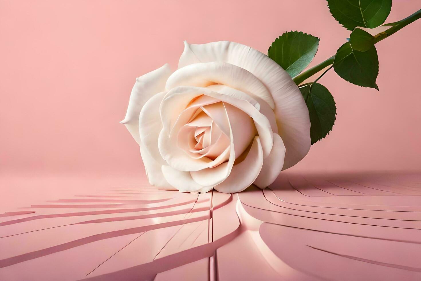 a single white rose on a pink background. AI-Generated photo